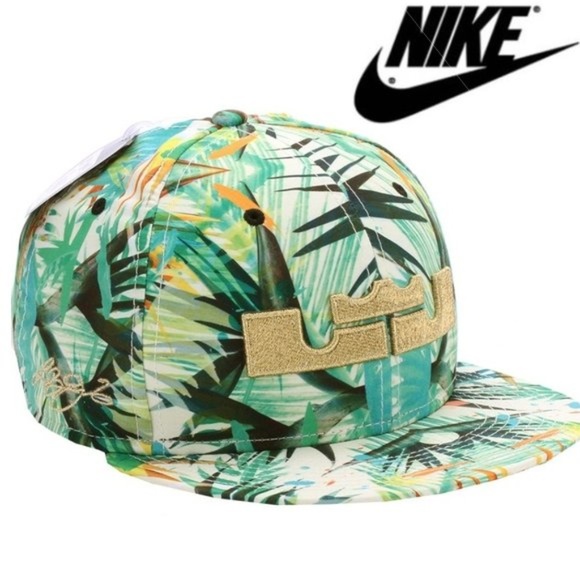 lebron james hat nike